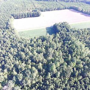 Photo of SOLD!!  17 Acres of Timber and Farm Land in Southampton County VA!