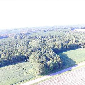 Photo of SOLD!!  17 Acres of Timber and Farm Land in Southampton County VA!