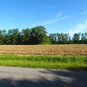Photo of SOLD!!  17 Acres of Timber and Farm Land in Southampton County VA!