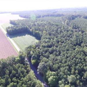 Photo of SOLD!!  17 Acres of Timber and Farm Land in Southampton County VA!