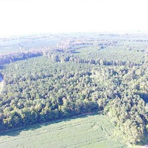 Photo of SOLD!!  17 Acres of Timber and Farm Land in Southampton County VA!