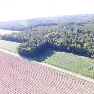 Photo of SOLD!!  17 Acres of Timber and Farm Land in Southampton County VA!