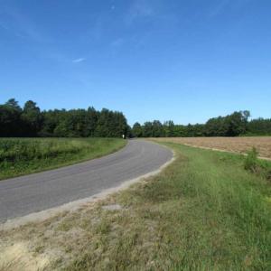 Photo of SOLD!!  17 Acres of Timber and Farm Land in Southampton County VA!
