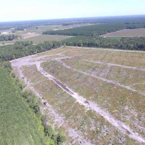 Photo of SOLD!  85 Acres of Timbered Land Where Wildlife Abounds in Suffolk Virginia!