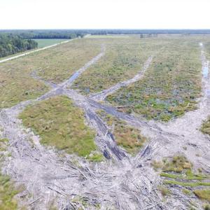 Photo of SOLD!  85 Acres of Timbered Land Where Wildlife Abounds in Suffolk Virginia!