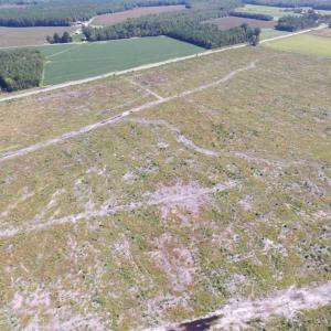 Photo of SOLD!  85 Acres of Timbered Land Where Wildlife Abounds in Suffolk Virginia!