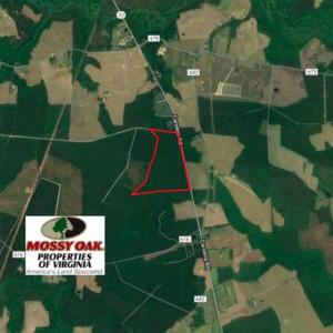 Photo of SOLD!  85 Acres of Timbered Land Where Wildlife Abounds in Suffolk Virginia!