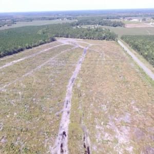 Photo of SOLD!  85 Acres of Timbered Land Where Wildlife Abounds in Suffolk Virginia!