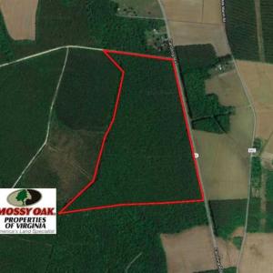 Photo of SOLD!  85 Acres of Timbered Land Where Wildlife Abounds in Suffolk Virginia!