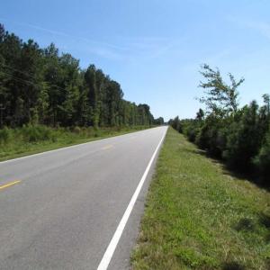 Photo of SOLD!  85 Acres of Timbered Land Where Wildlife Abounds in Suffolk Virginia!