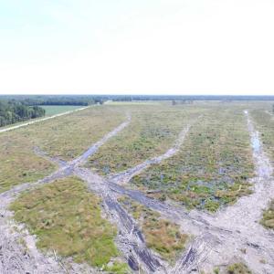 Photo of SOLD!  85 Acres of Timbered Land Where Wildlife Abounds in Suffolk Virginia!