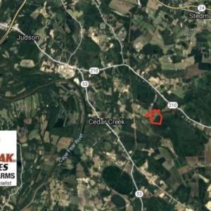 Photo of SOLD!!  112 Acres of Hunting Land For Sale in Cumberland County NC!