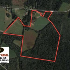 Photo of SOLD!!  112 Acres of Hunting Land For Sale in Cumberland County NC!