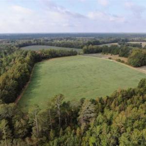 Photo of SOLD!!  112 Acres of Hunting Land For Sale in Cumberland County NC!