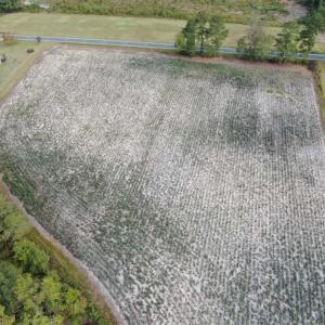 Photo of SOLD!!  5 Acres of Agricultural Land For Sale in Cumberland County NC!