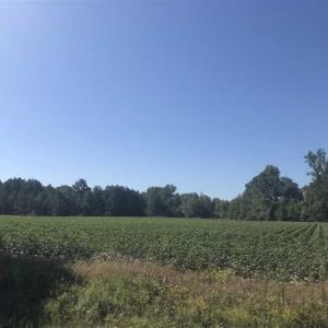 Photo of SOLD!!  5 Acres of Agricultural Land For Sale in Cumberland County NC!