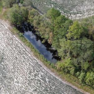 Photo of SOLD!!  5 Acres of Agricultural Land For Sale in Cumberland County NC!