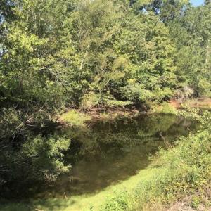 Photo of SOLD!!  5 Acres of Agricultural Land For Sale in Cumberland County NC!