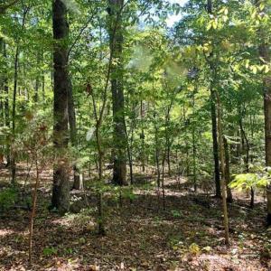 Photo of SOLD!  105 Acres of Timber and Farm Land with Pond For Sale in Caswell County NC!