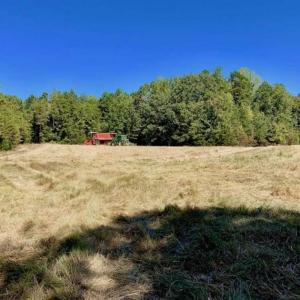 Photo of SOLD!  105 Acres of Timber and Farm Land with Pond For Sale in Caswell County NC!