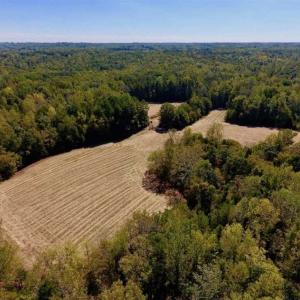 Photo of SOLD!  105 Acres of Timber and Farm Land with Pond For Sale in Caswell County NC!
