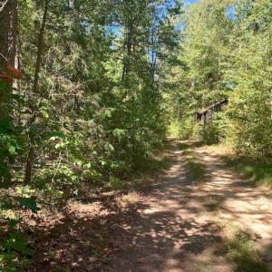 Photo of SOLD!  105 Acres of Timber and Farm Land with Pond For Sale in Caswell County NC!