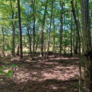 Photo of SOLD!  105 Acres of Timber and Farm Land with Pond For Sale in Caswell County NC!