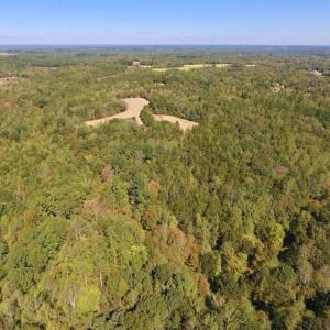Photo of SOLD!  105 Acres of Timber and Farm Land with Pond For Sale in Caswell County NC!