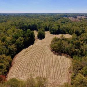 Photo of SOLD!  105 Acres of Timber and Farm Land with Pond For Sale in Caswell County NC!