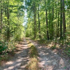 Photo of SOLD!  105 Acres of Timber and Farm Land with Pond For Sale in Caswell County NC!