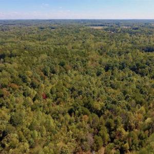 Photo of SOLD!  105 Acres of Timber and Farm Land with Pond For Sale in Caswell County NC!