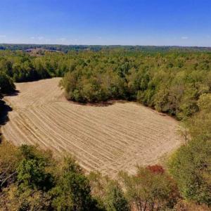 Photo of SOLD!  105 Acres of Timber and Farm Land with Pond For Sale in Caswell County NC!