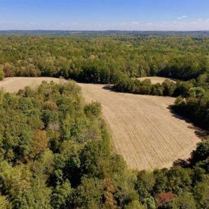 Photo of SOLD!  105 Acres of Timber and Farm Land with Pond For Sale in Caswell County NC!