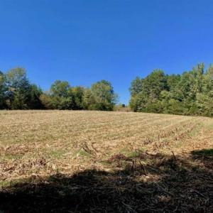 Photo of SOLD!  105 Acres of Timber and Farm Land with Pond For Sale in Caswell County NC!