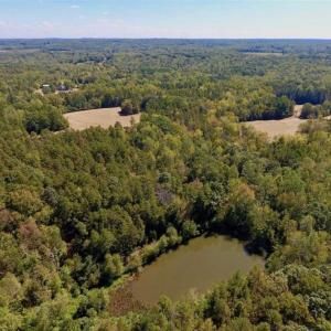 Photo of SOLD!  105 Acres of Timber and Farm Land with Pond For Sale in Caswell County NC!