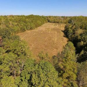 Photo of SOLD!  105 Acres of Timber and Farm Land with Pond For Sale in Caswell County NC!