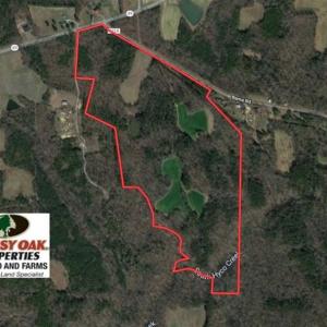 Photo of SOLD!  105 Acres of Timber and Farm Land with Pond For Sale in Caswell County NC!