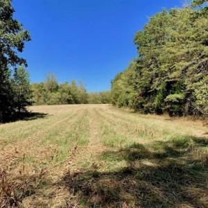 Photo of SOLD!  105 Acres of Timber and Farm Land with Pond For Sale in Caswell County NC!