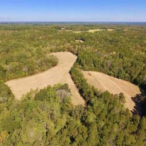 Photo of SOLD!  105 Acres of Timber and Farm Land with Pond For Sale in Caswell County NC!