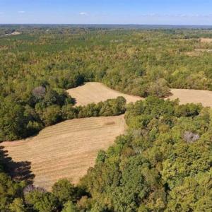Photo of SOLD!  105 Acres of Timber and Farm Land with Pond For Sale in Caswell County NC!