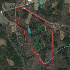 Photo of SOLD!  105 Acres of Timber and Farm Land with Pond For Sale in Caswell County NC!