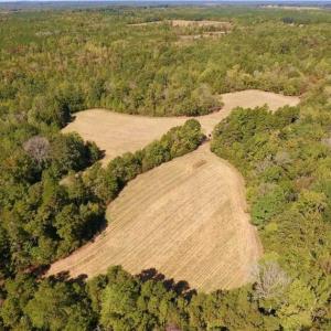 Photo of SOLD!  105 Acres of Timber and Farm Land with Pond For Sale in Caswell County NC!