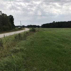 Photo of SOLD! 55 Acres of Farm and Timber Land in Columbus County NC!