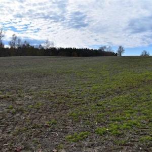 Photo of SOLD!  70 Acres of Hunting Land for Sale in Southampton County, VA