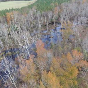 Photo of SOLD!  70 Acres of Hunting Land for Sale in Southampton County, VA
