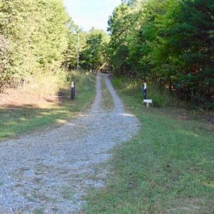 Photo of REDUCED!  193 Acres of Hunting and Recreational Land For Sale in Bedford County VA!