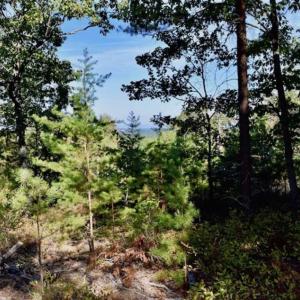 Photo of REDUCED!  193 Acres of Hunting and Recreational Land For Sale in Bedford County VA!