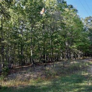 Photo of REDUCED!  193 Acres of Hunting and Recreational Land For Sale in Bedford County VA!