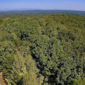 Photo of REDUCED!  193 Acres of Hunting and Recreational Land For Sale in Bedford County VA!