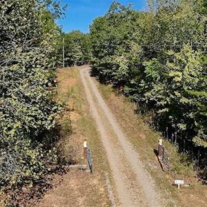 Photo of REDUCED!  193 Acres of Hunting and Recreational Land For Sale in Bedford County VA!